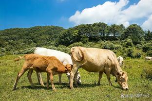 斯卡洛尼谈戈麦斯因禁药禁赛：他搞砸了 希望能尽快解决这个问题